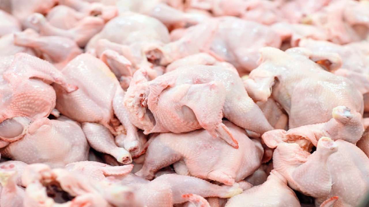 گران به بهانه تهیه مرغ سبز / قیمت هر کیلو مرغ بالغ بر 24 هزار تامان |  اخبار فوری