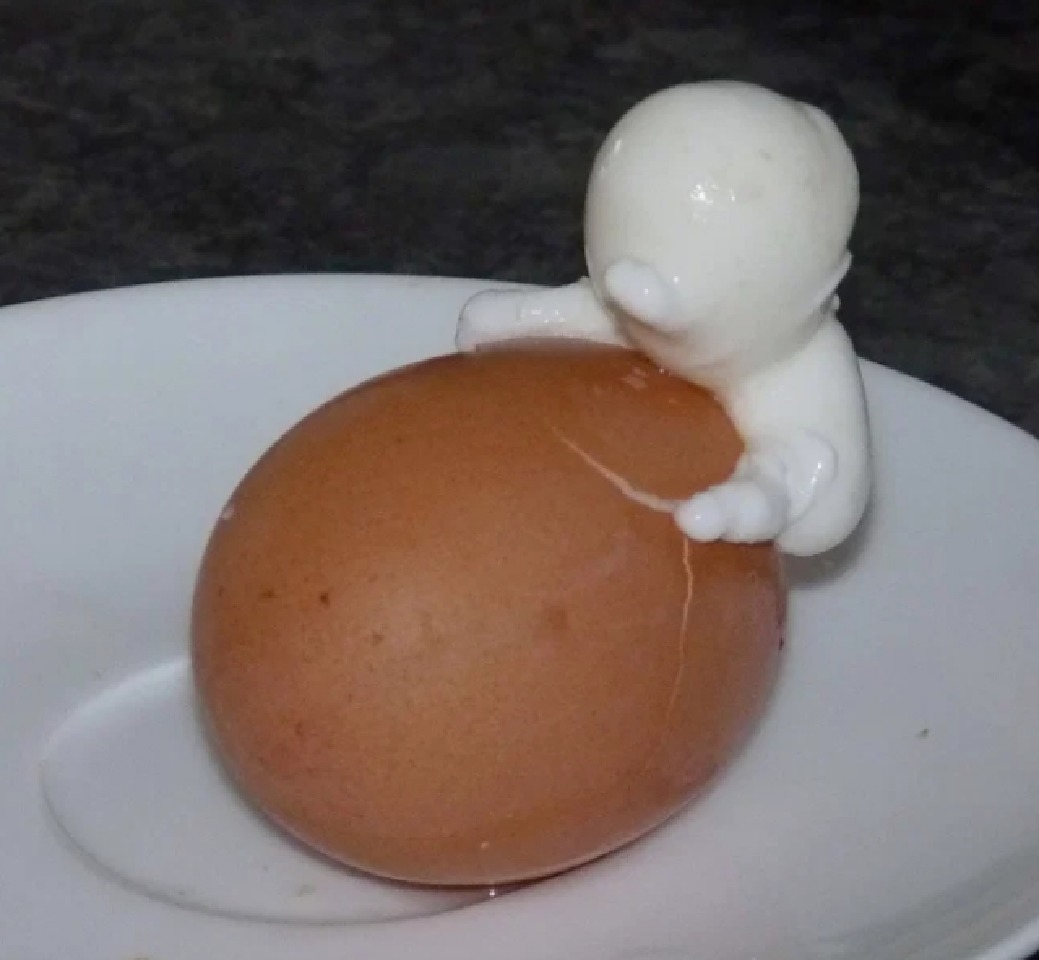 مانکن از تخم مرغ بیرون می آید