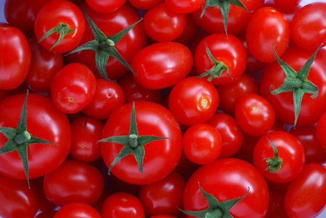 آغاز توزیع گوجه های جنوبی بر اساس مربع / به ازای هر کیلوگرم گوجه درجه یک: 11 هزار تامان