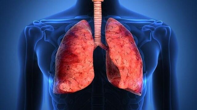 از کجا می دانید که ریه های ما در "تاج" نقش دارند؟