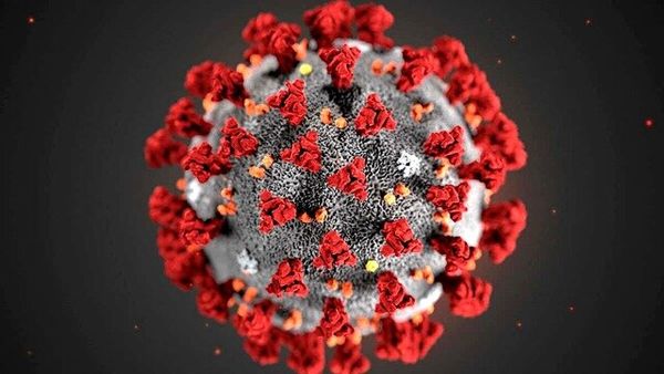 یک تفاوت مهم بین ویروس تاج و سرماخوردگی  آخرین خبرها