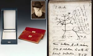 کتاب های داروین یک میلیون دلار ضرر کرد / عکس |  آخرین خبرها