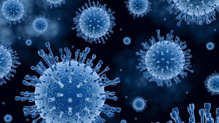 علت اصلی مرگ ویروس تاج را کشف کنید  آخرین خبرها